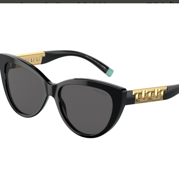 Tiffany & Company TF4196 Sunglasses Logo Cateye Metal Luxury Designer #57 - Picture 5 of 16